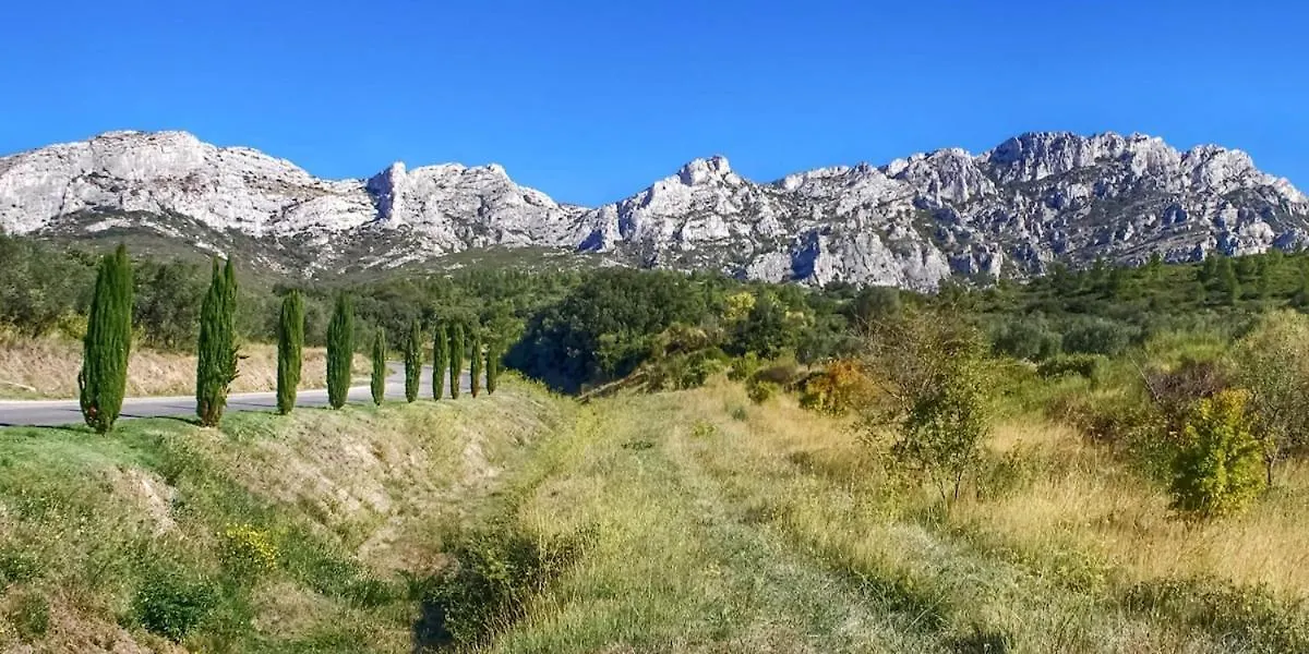 Douce Provence Paradou Les Alpilles Holiday home